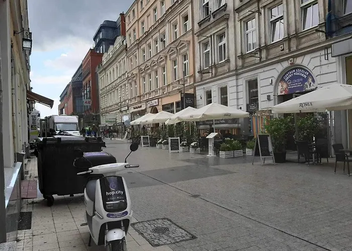 Apartamentkwiatowa 10 דירה פוזנן